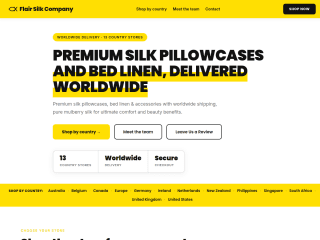 Flair - COMPANY PAGE website preview