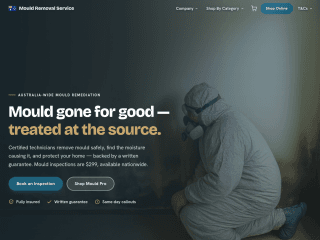 moldremovalservice.co website preview
